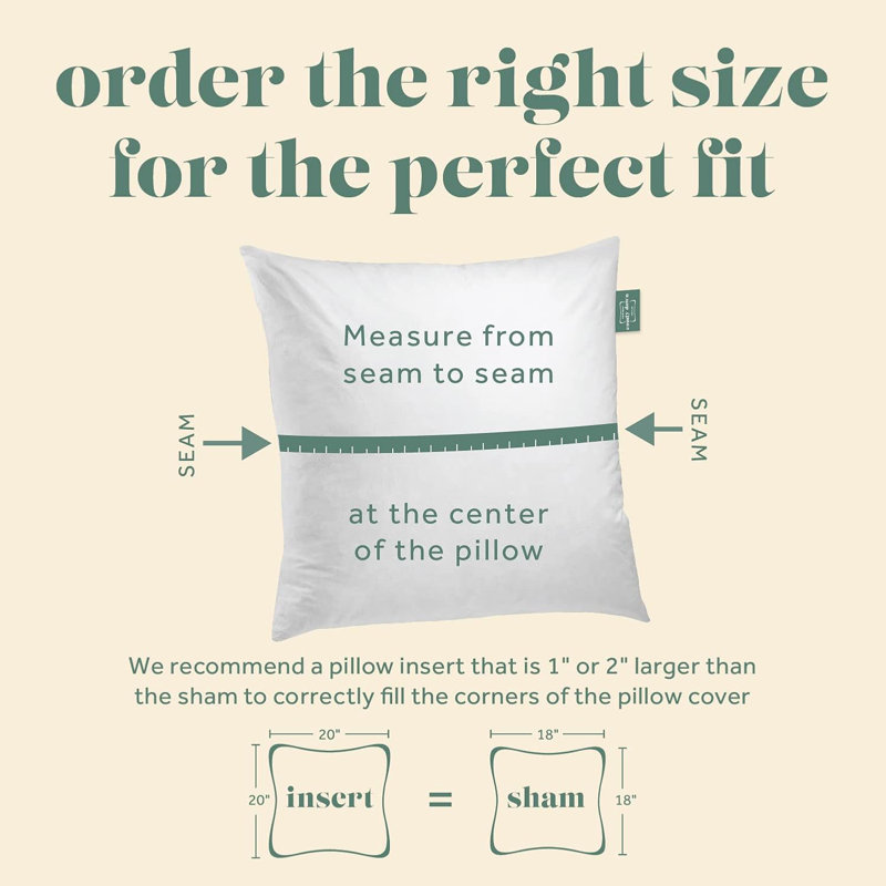 Insert de coussin décoratif décoratif en duvet de plumes, 28 po x 28 po