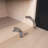 Wood Modern TV Stand For Tvs Up To 80"-303855713