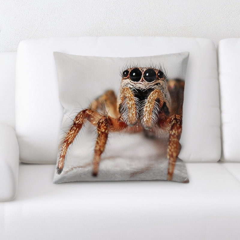 Coussin de spider
