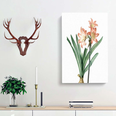 Amaryllis Flowers in Pink - Wrapped Canvas