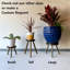 Support pour plante Abraam-1254230936
