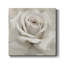 «Dreamy I», reproduction sur toile tendue-1385999926