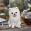 Polyresin Garden Statue-1220077796