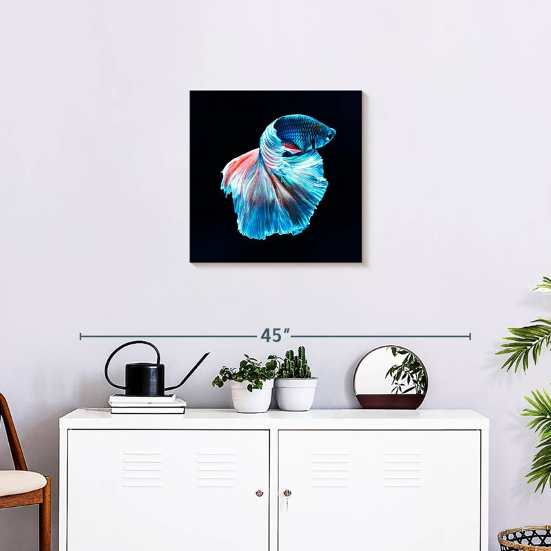 Brampt Glowing Blue Betta Fish