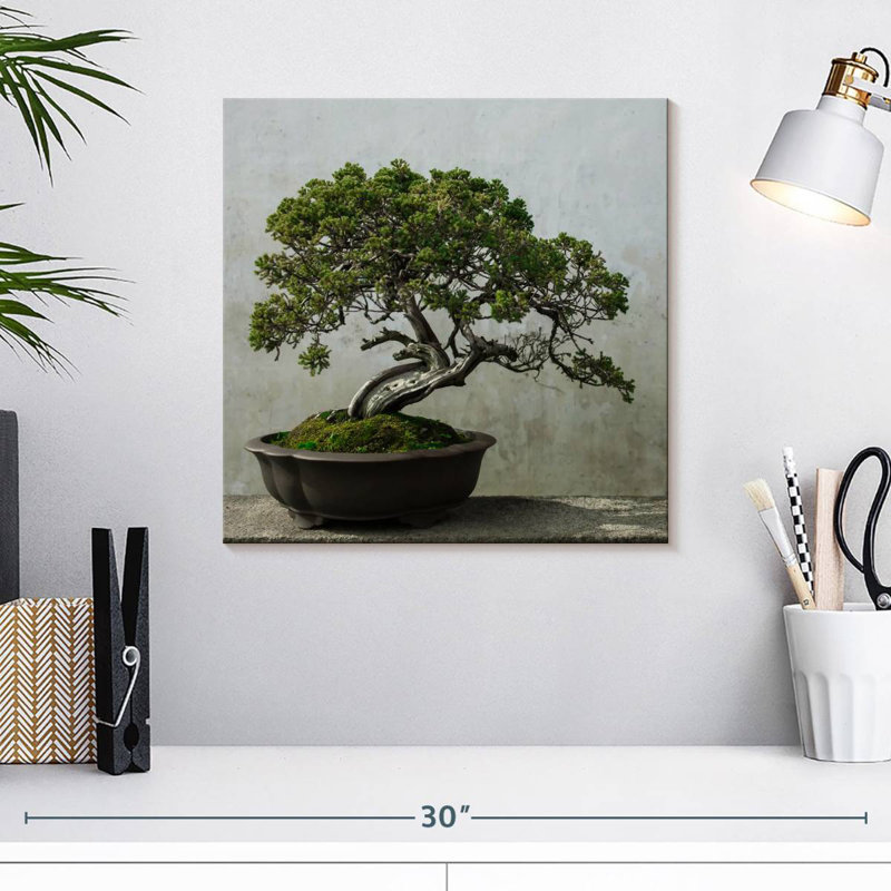 Harnek Pine Tree Bonsai, 16'' H x 16'' W