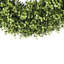 Couronne UV en buis-1668729438
