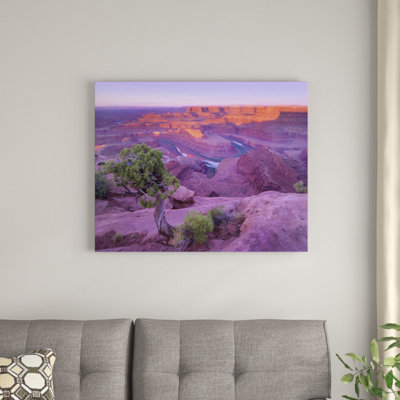 " Colorado River Flowing Through Canyons Of Dead Horse Point State Park, Utah " by Tim Fitzharris