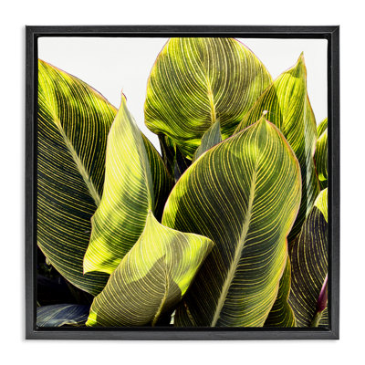 «Bright Bright Tropical Leaves» par Emily Navas