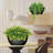 Hanging Planter-1275474323