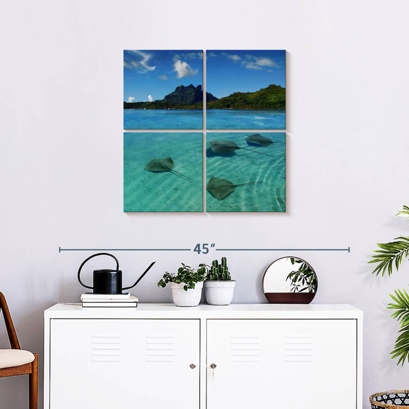 Brampt Bora Bora Stingrays, 26" H x 26" W