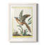 Cadre Pastel Birds IV Premium - prêt à accrocher-1207145252-1207145248