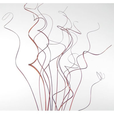 Curly Ting Arrangement