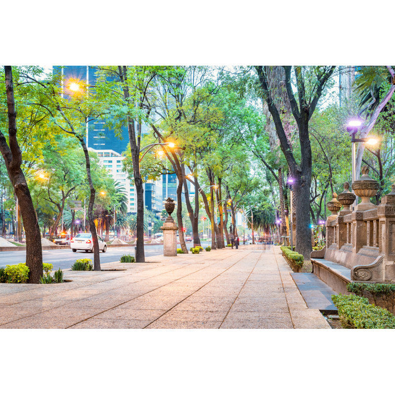 Paseo De La Réforme, quartier économique de Mexico par Benedek, H 32 po x l 48 po