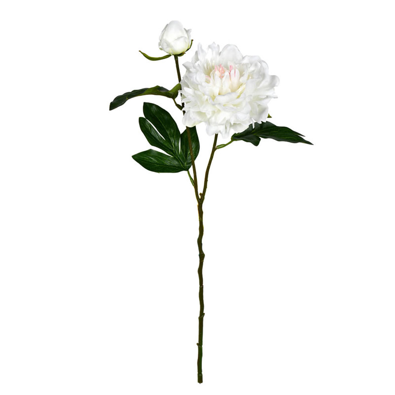 Pistolet artificiel 16 po Delevan, Crème rose