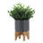 5" Planter W/ Wood Stand, Matte Gray-613400018-613400020-613400022