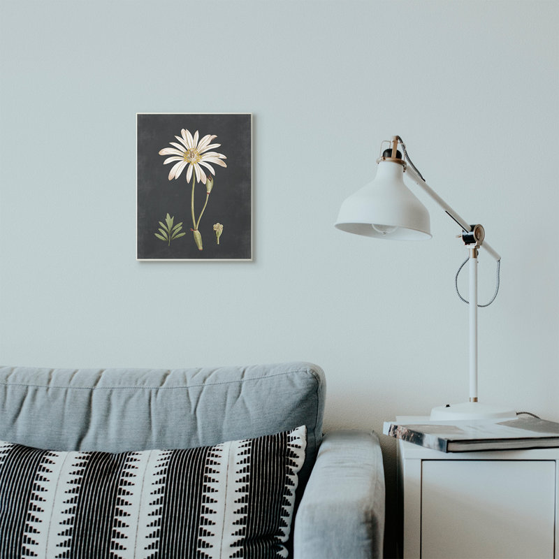 « botanique drawing white on black design », impression, Plaque murale, H 15 po x l 10 po