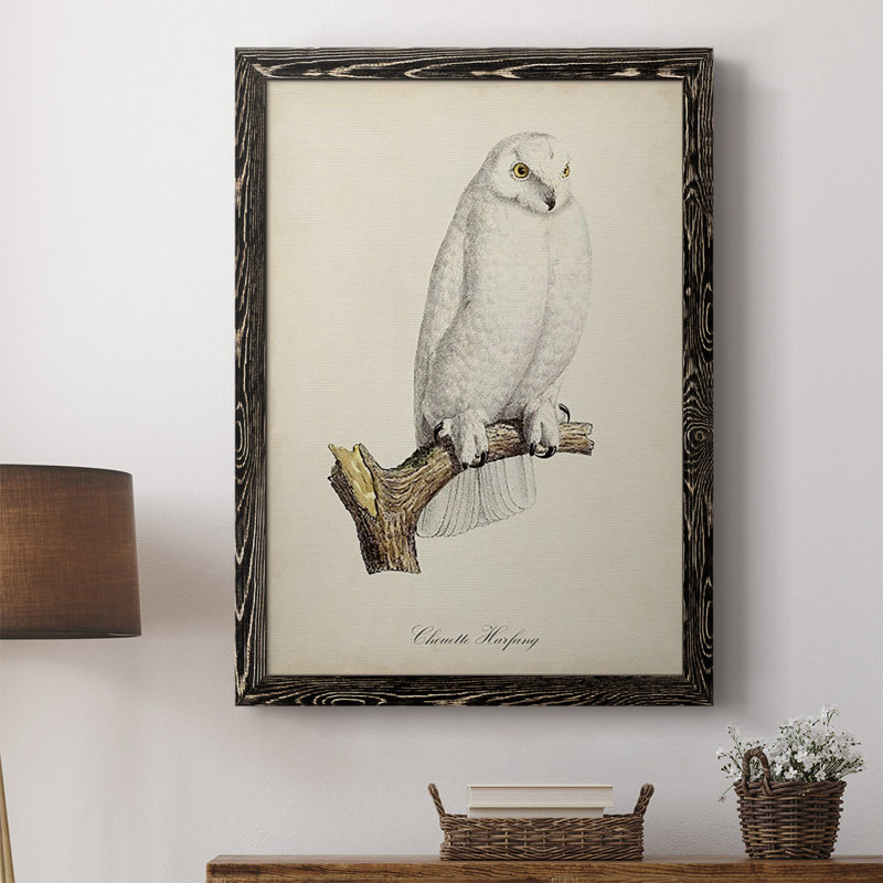 Salamanca French Owls IV - reproduction de photo sur toile, Cadre noir, H 43,5 po x l 31,5 po x P 1 po
