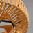 Erilynn 20'' Boho Caged Ceiling Fan