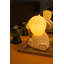 Novelty Lamp