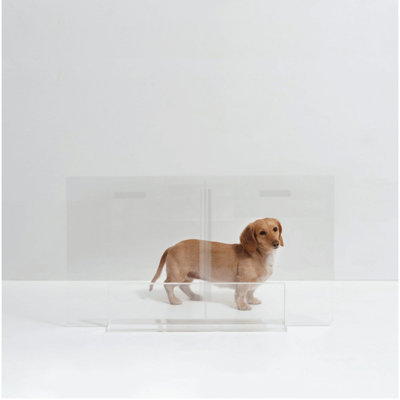 Low View Panel Freestanding Pet Gate