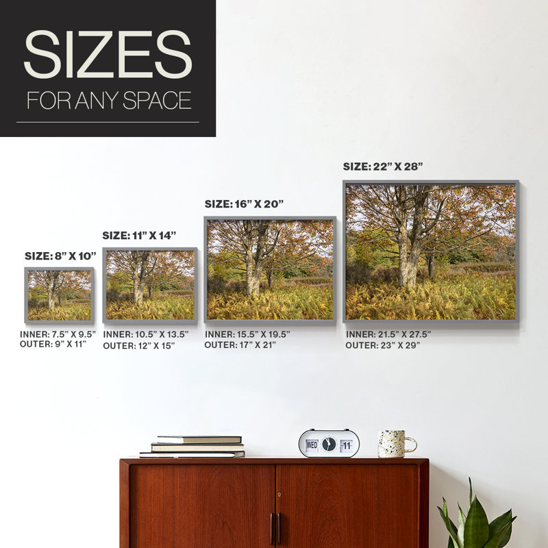 Maple and Ferns -Framed Print - Restickable