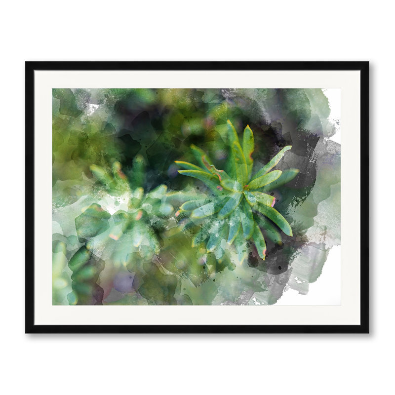 Floral 3630 Print by Chamira Young, Black Framed Paper, 25.25" H x 31.25" W
