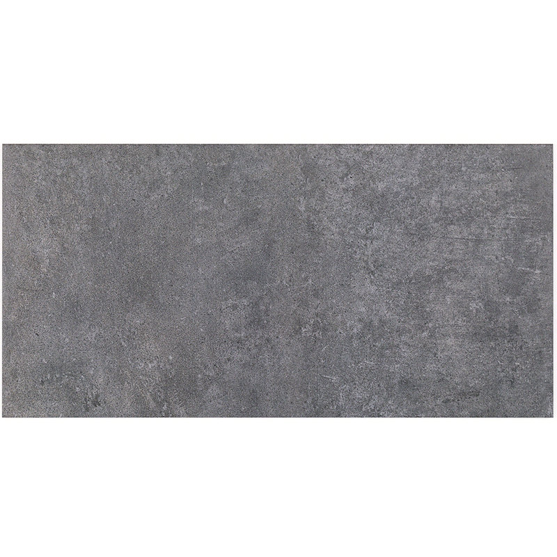 Fontana 12" x 24" 9.5mm Matte Porcelain Floor and Wall Tile, Smokey Gray