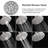 Modern 6-Spray Patterns With 1.8 GPM 6 In. Wall Mount Rain Fixed Shower Head-113722408