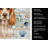 Orange Roan English Cocker Spaniel Coastal Sea Glass Kitchen Towel-871464358