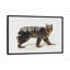 « lynx ii », impression sur toile tendue-22647114-72698661-72698662