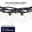 168'' String Lights