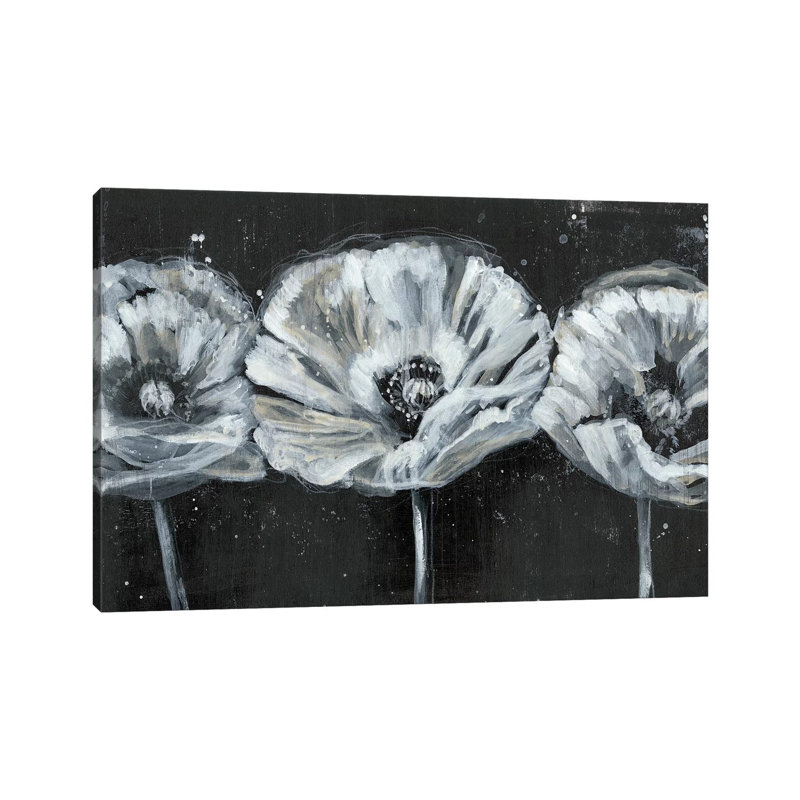 White Trio On Black II by Jennifer Goldberger - Wrapped Canvas Gallery-Wrapped Canvas Giclée