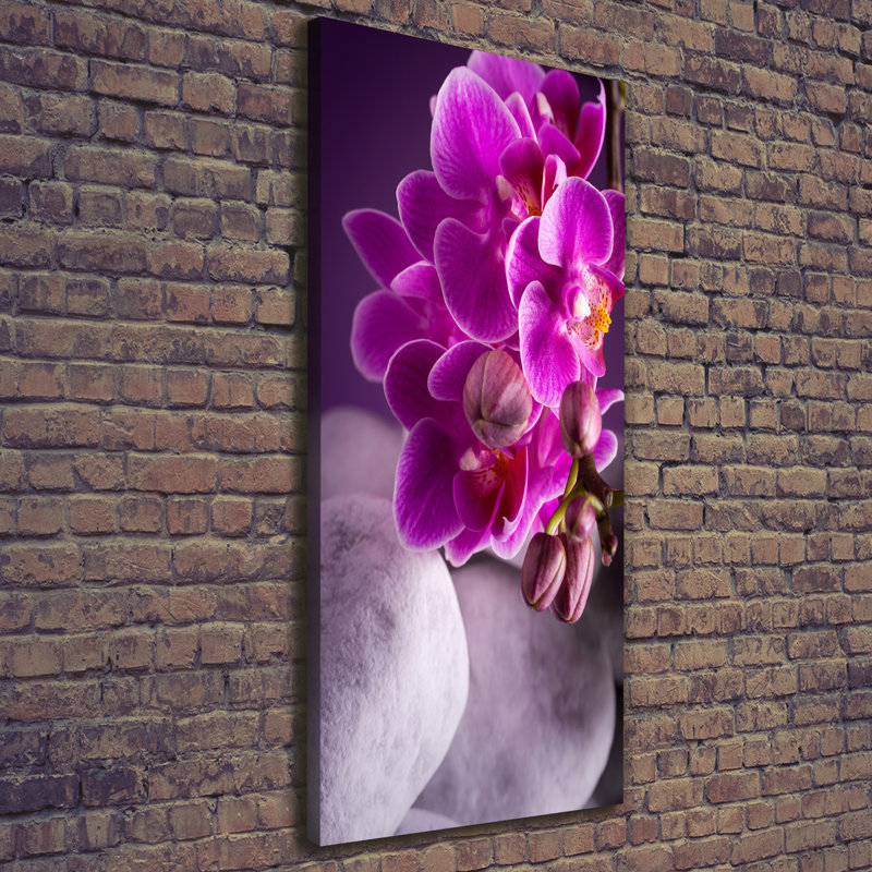Pink Orchid - Wrapped Canvas Print