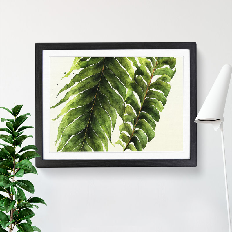XH1022-9831X Fern Leaf Vol.3 - Single Picture Frame Print, Black Framed, 46cm H x 64cm W x 2cm D