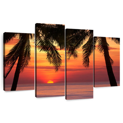 Palmier Gillard Gillard Sunset