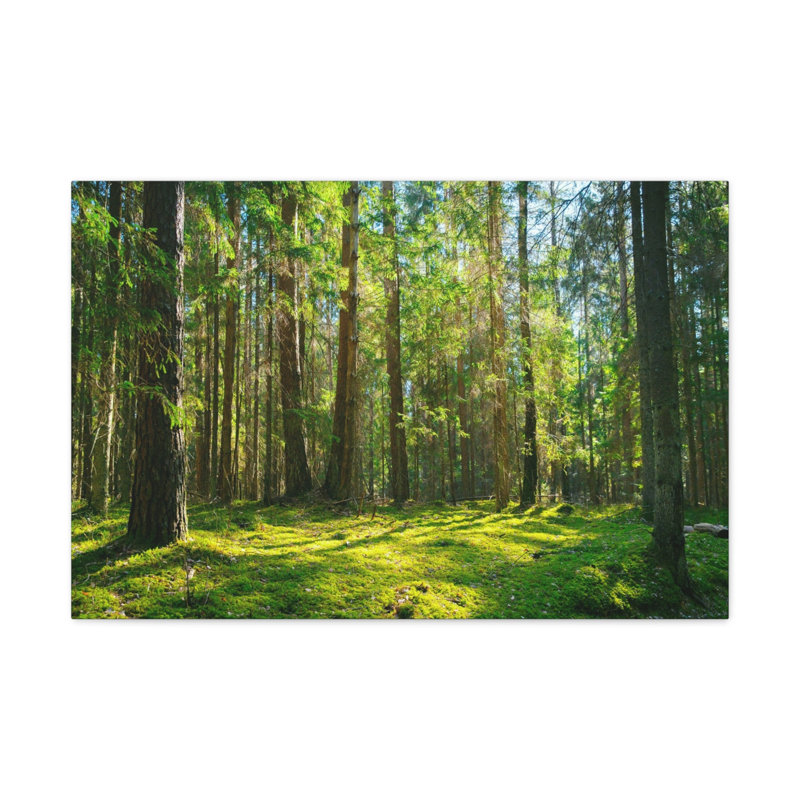 No Frame Print on Canvas, 24cm H x 30cm W