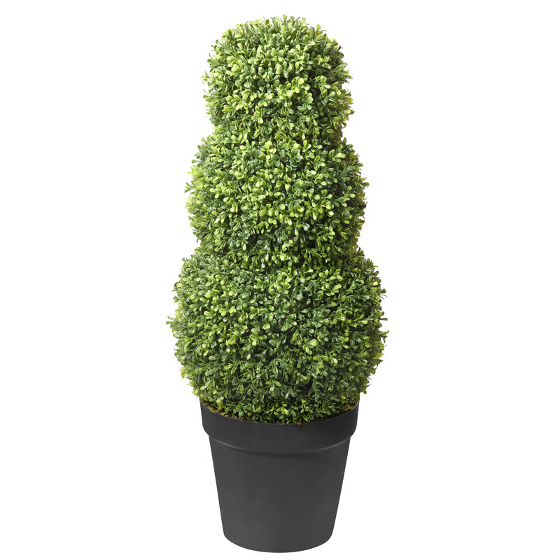 Elegant Adjustable Triple-Ball Boxwood Topiary, 64'' in Plastic Pot