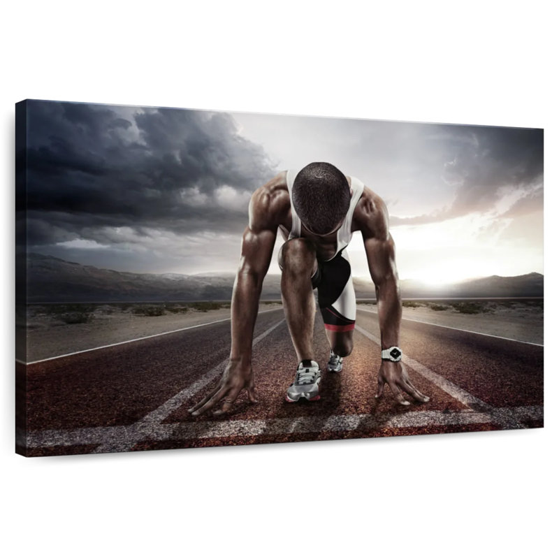 Sireci Track Sprinter, 20" H x 30" W
