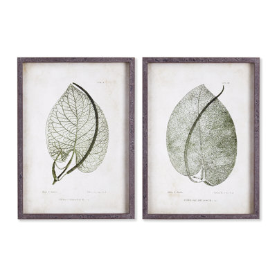 Violeta Cordate Leaf Study Prints, Set of 2