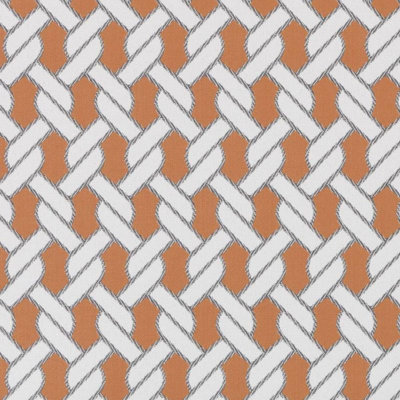 Tissu d'ameublement Pavilion Thomas