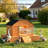 Poultry Cage with Dual Doors
