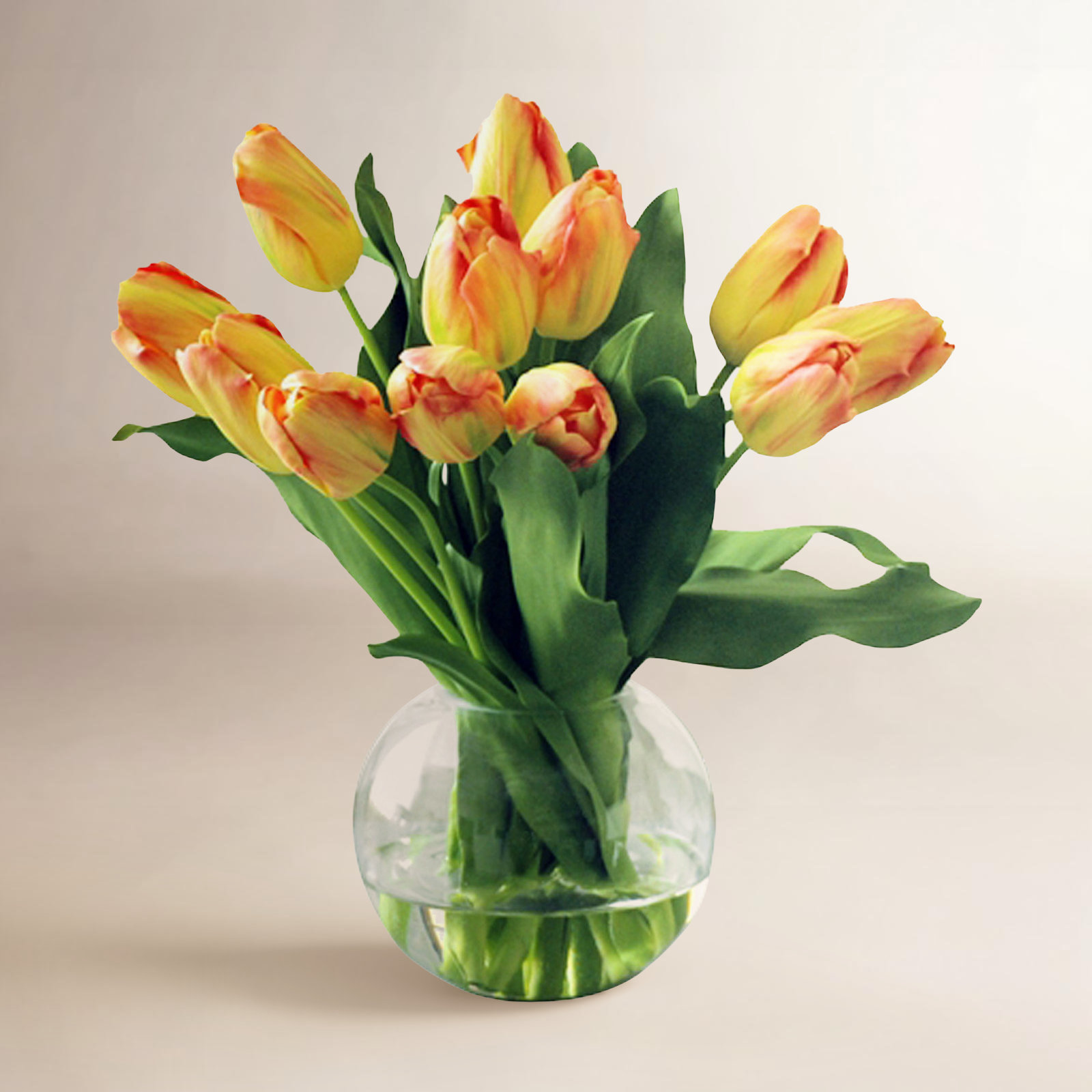 Tulip Arrangement in Vase