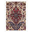 Oriental Area Rug in Ivory