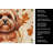 Red Lhasa Apso Heirloom Fall Kitchen Towel-1218230979