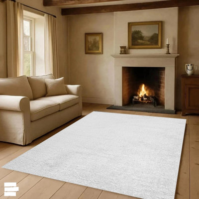 Shaggy Area Rug