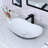 Davivy 24.5" L x 13.8" W White/Matte Black  Oval Vessel Bathroom Sink-93100316