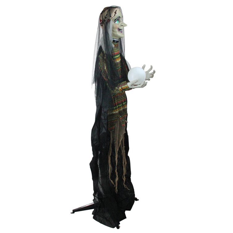 Northlight 5.5' Pre-Lit Black and Green Standing Fortune Witch with ...