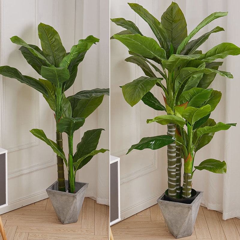 150cm Faux Bonsai Plant in Fabric；Plastic Freestanding