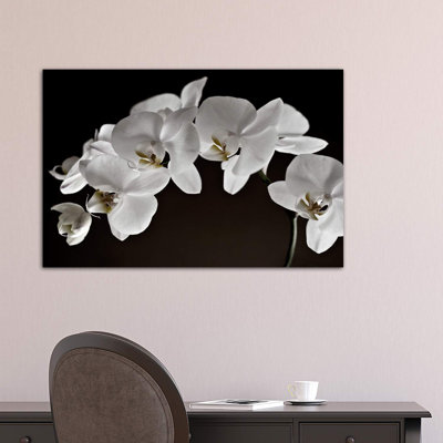 " Orchids "