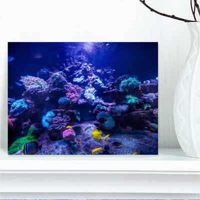 Aquarium Reef, Tank - Photograph Print